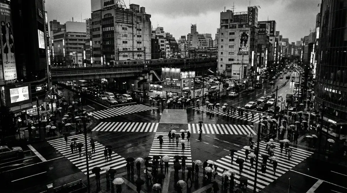 城市化进程纪实